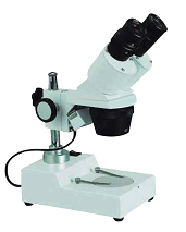 立式显微镜
